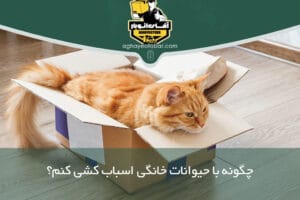 چگونه با حیوانات خانگی اسباب کشی کنم؟